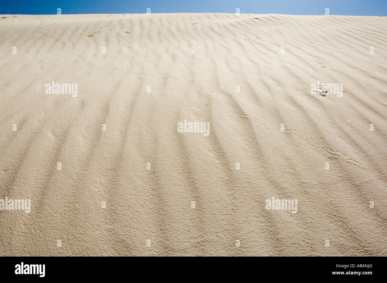 White Sands New Mexico Foto Stock
