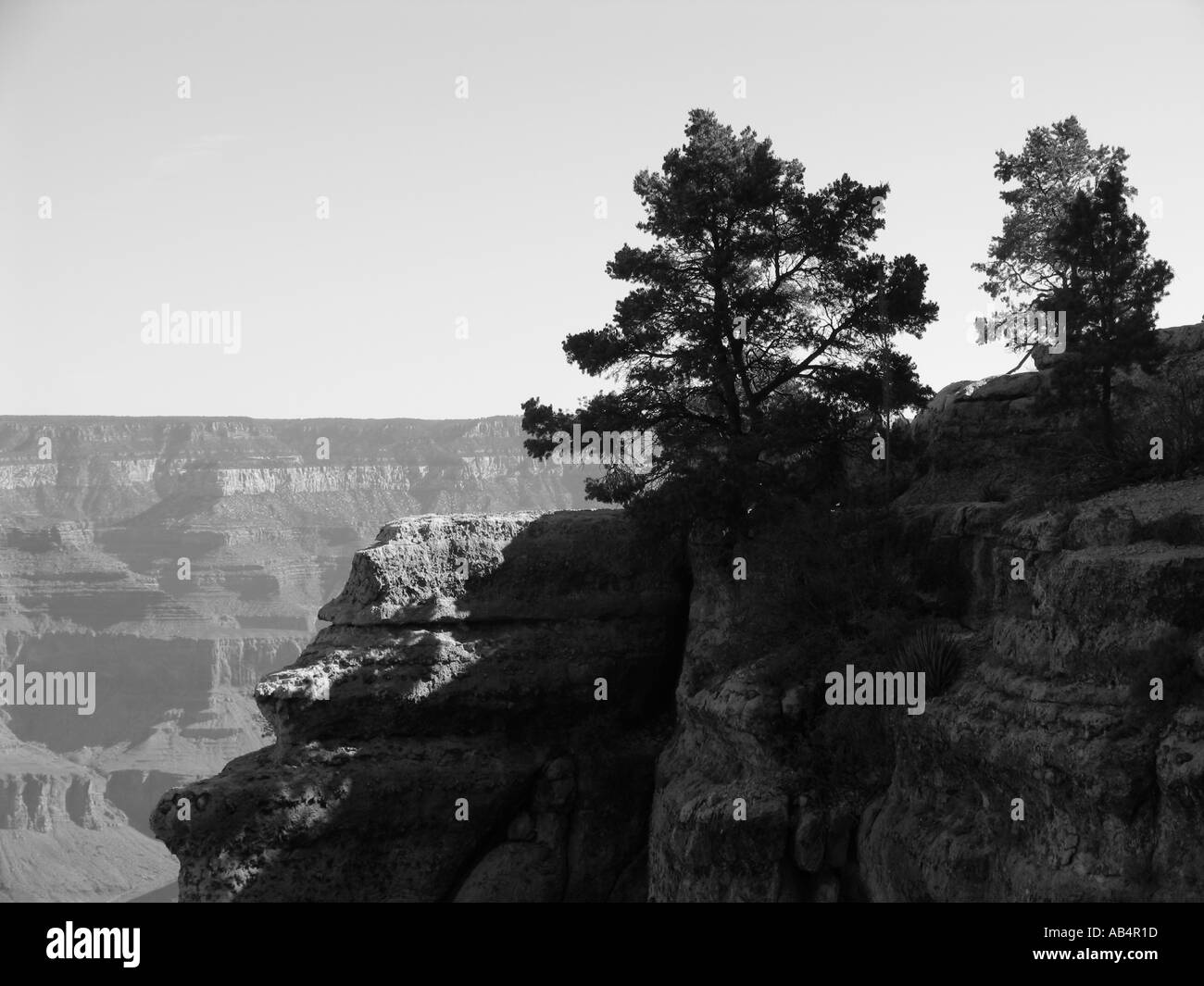 Parco Nazionale del Grand Canyon Arizona Foto Stock