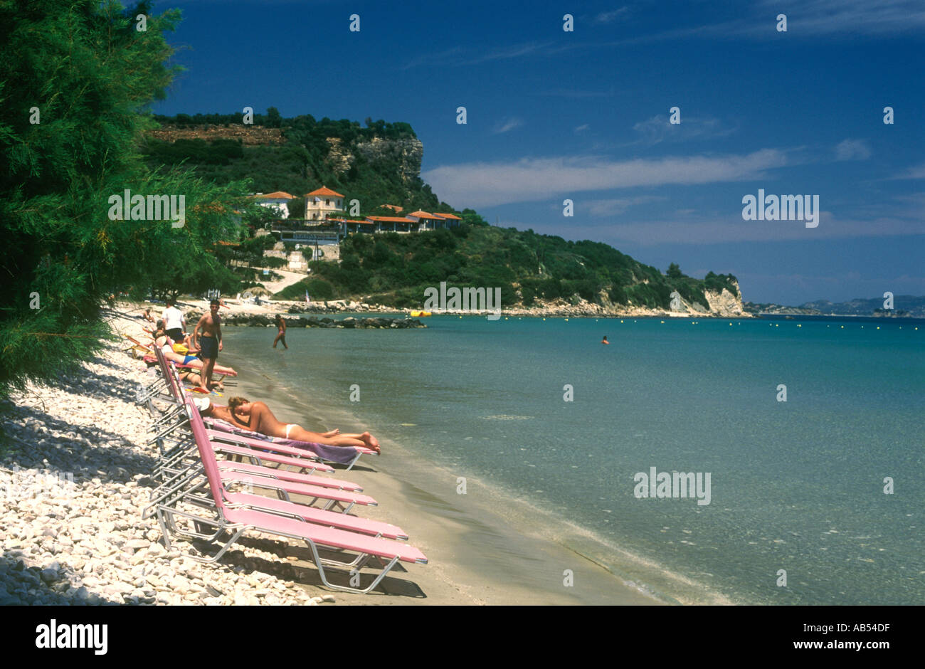 Lettini E Lucertole Da Mare Accanto Al Mare Di Keri Spiaggia