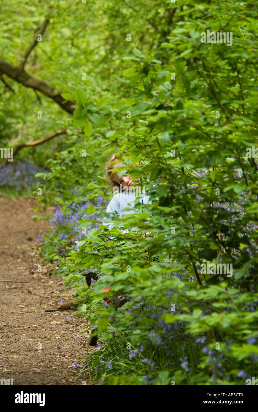 Moody giovane ragazza in the bluebell boschi Foto Stock