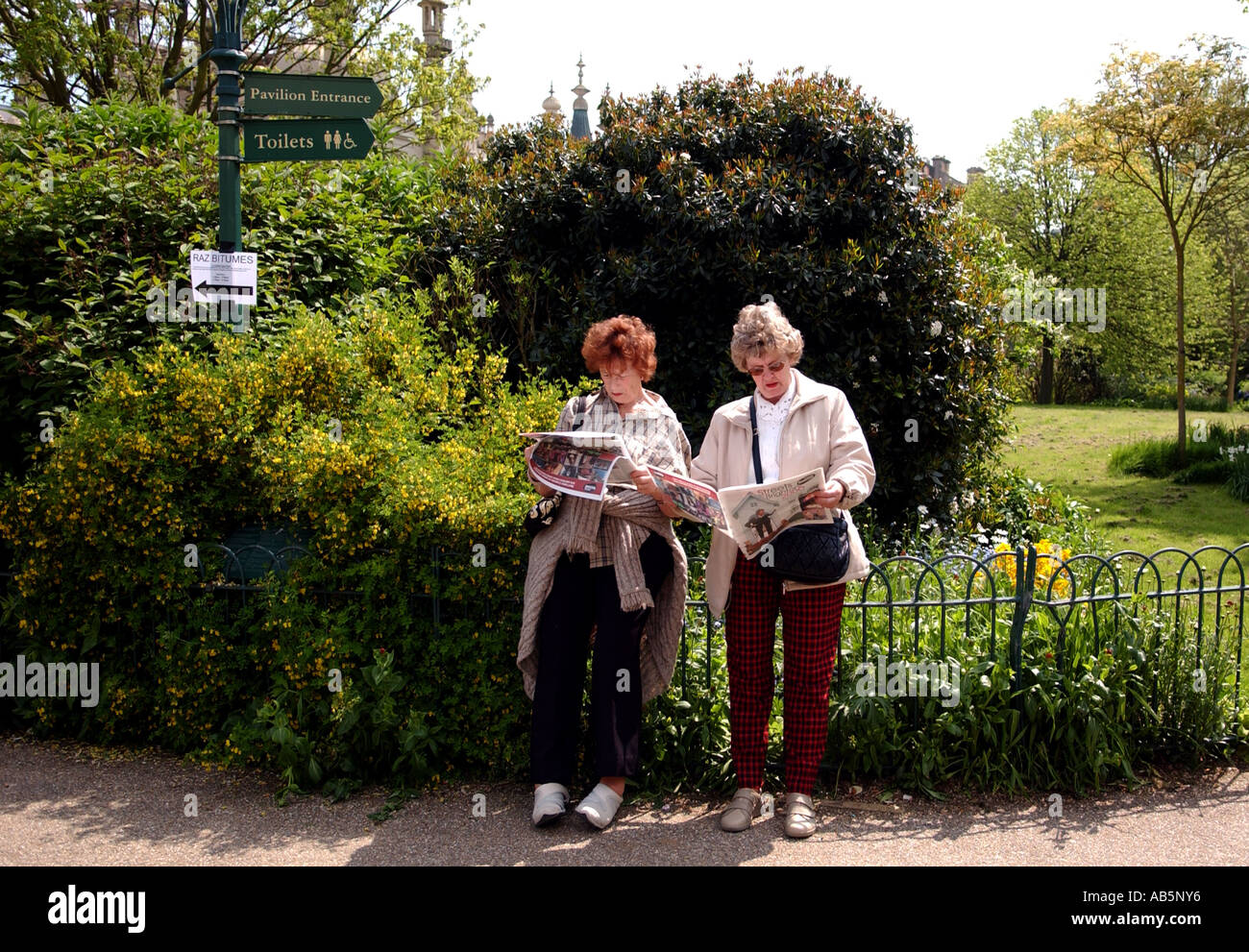 Guardando per le direzioni e dove andare avanti durante il Festival di Brighton un paio di ladies della Royal Pavilion Gardens Foto Stock