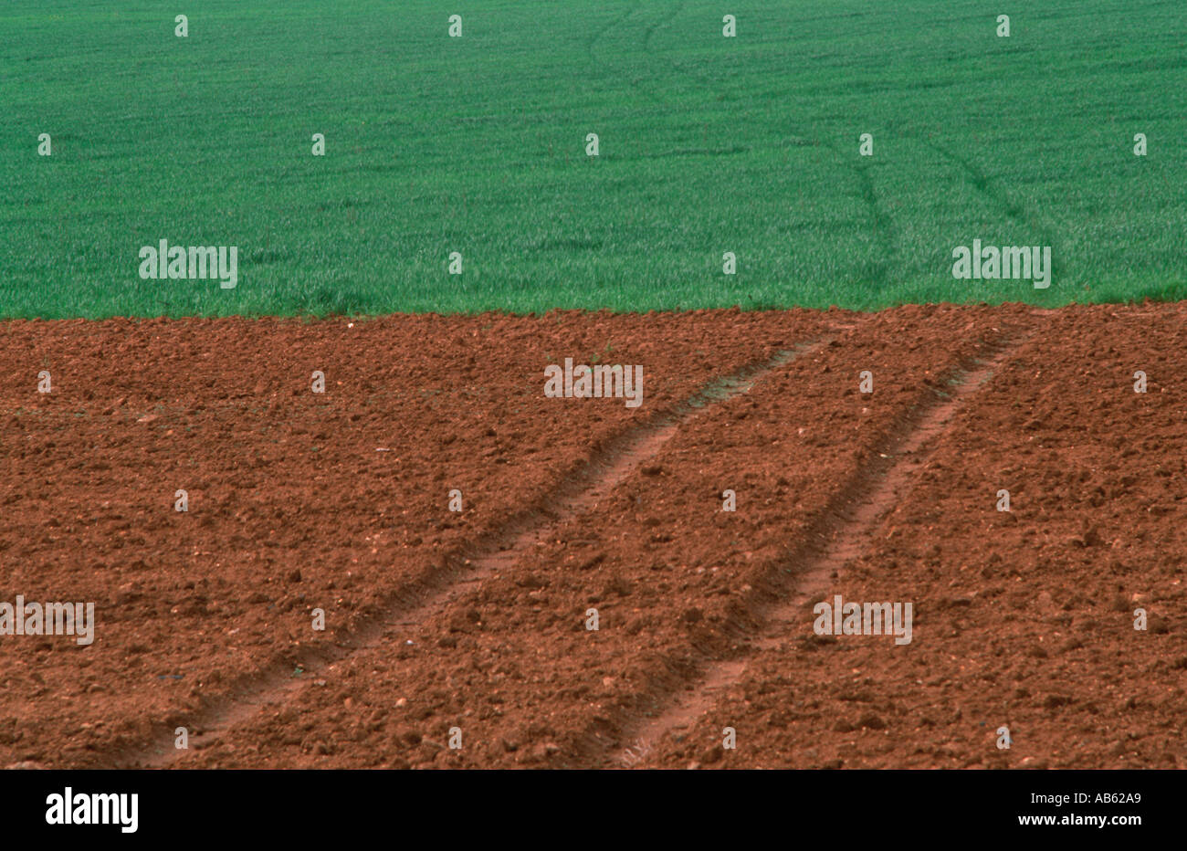 Le tracce del veicolo sul prato Foto Stock