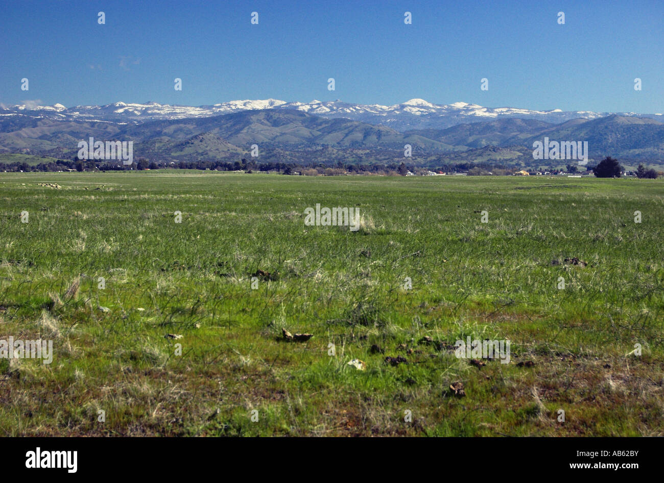 Montagne della Sierra Nevada in California centrale USA America del Nord Foto Stock