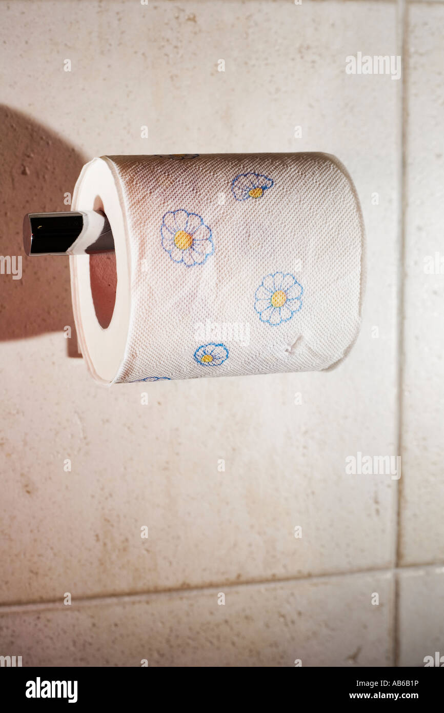 Toilette carta con margherite stampate su di esso Foto Stock
