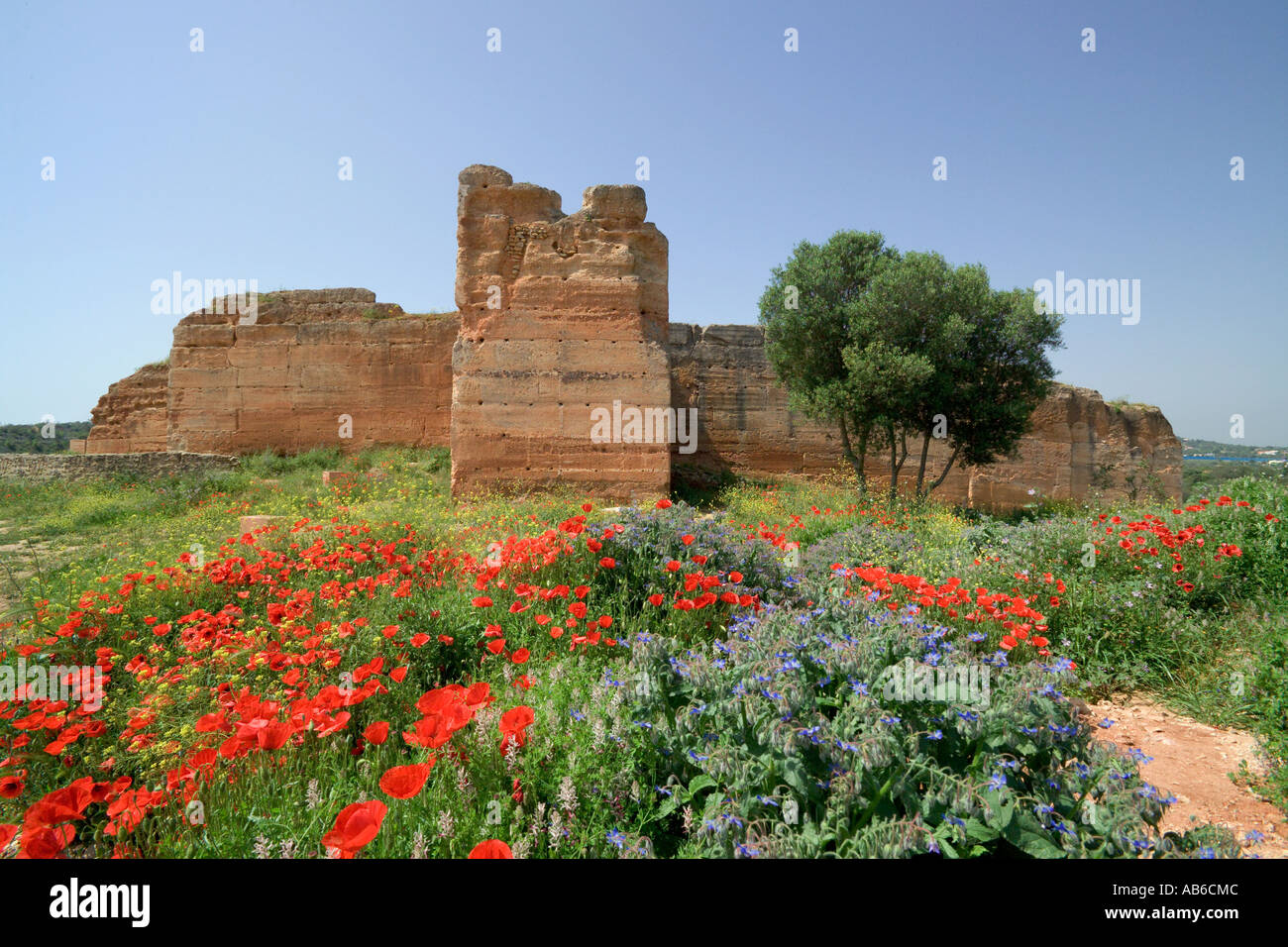 La rovina del castello di Paderne, nei pressi di Albufeira, Algarve, PORTOGALLO Foto Stock