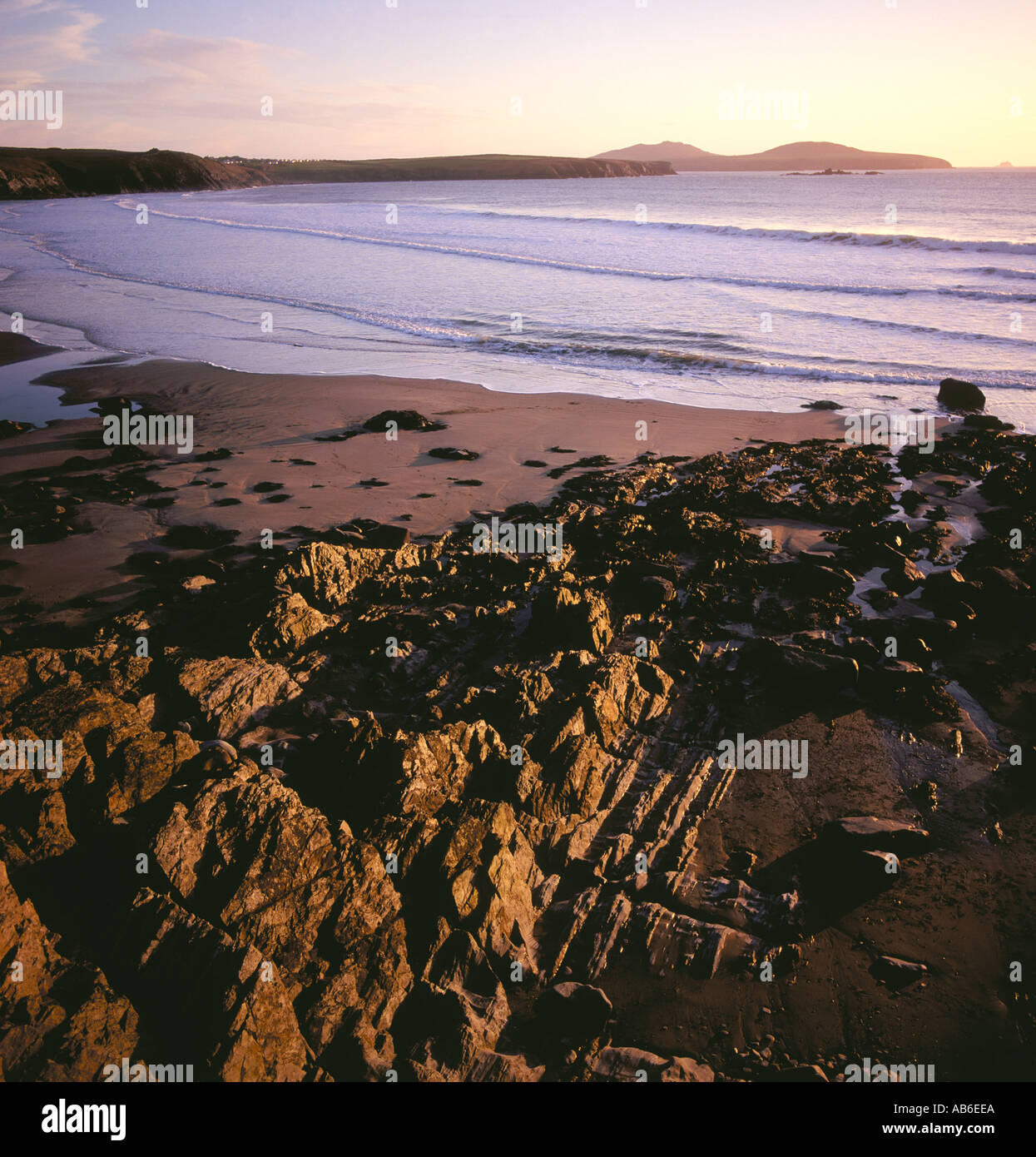 Whitesand Bay St Davids Pemrokeshire REGNO UNITO Foto Stock