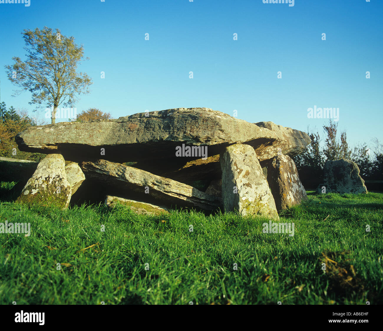 Arthurs neolitico in pietra camera di sepoltura a nord-est di Dorston in Herefordshire INGHILTERRA Foto Stock