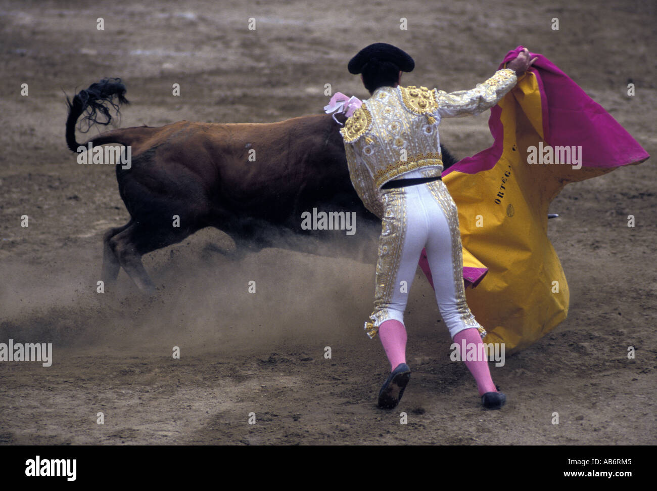 La corrida Ecuador Matador di anello con Bull Foto Stock