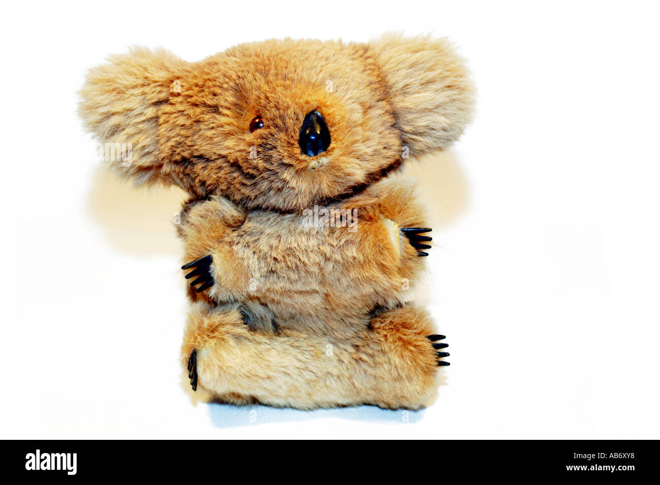 Bambini Kaola peluche orso giocattolo. Foto Stock