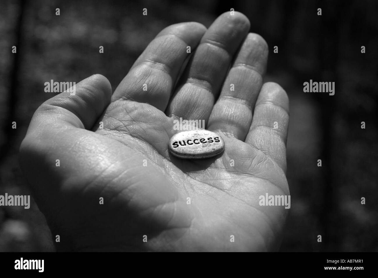 La parola successo su una pietra nel palmo di una mano Foto Stock