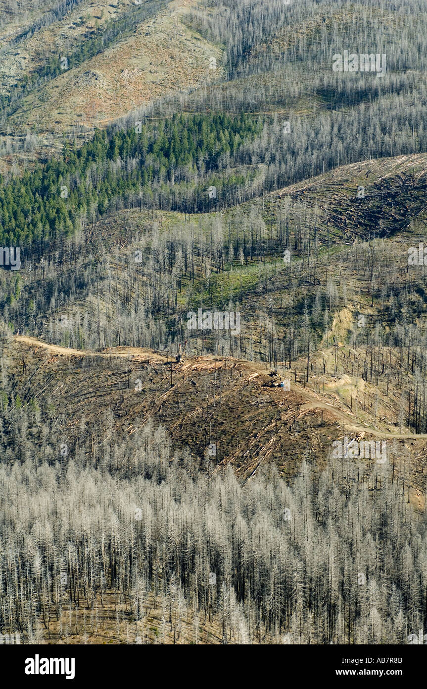 USA OREGON Siskiyou Mountains KALMIOPSIS deserto antenna della operazione di registrazione giugno 2005 nell area del biscotto 2002 Incendio di boschi Foto Stock