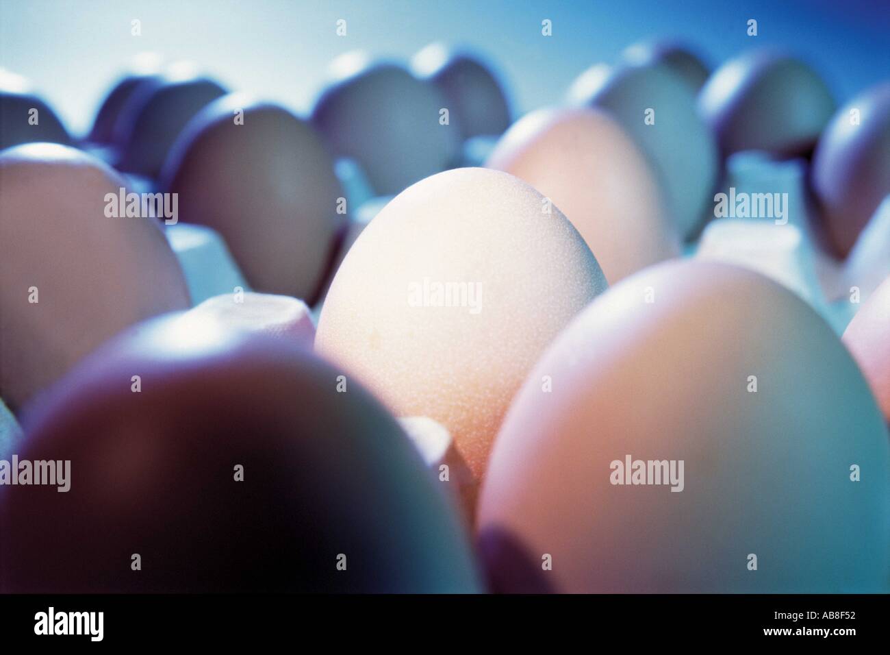 Scatola delle uova Foto Stock