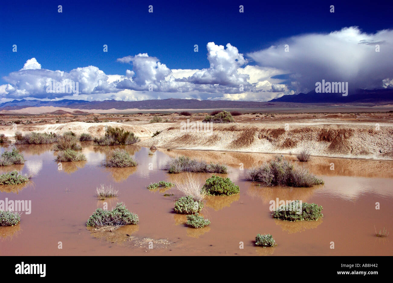 Deserto doccia a pioggia nuvole e inondazione di erosione in California USA Foto Stock