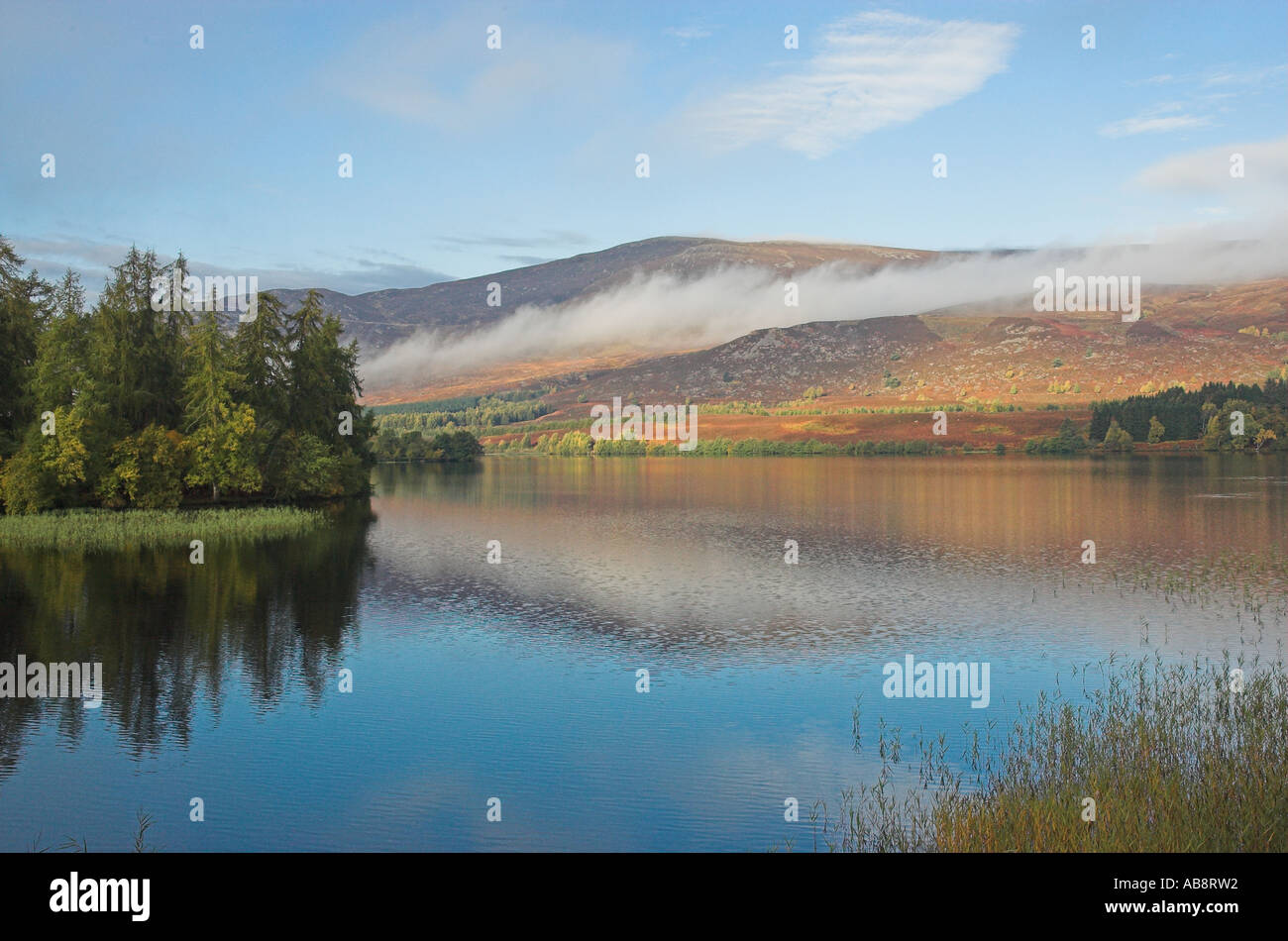 Loch Alvie nr Aviemore Highland Scozia Scotland Foto Stock