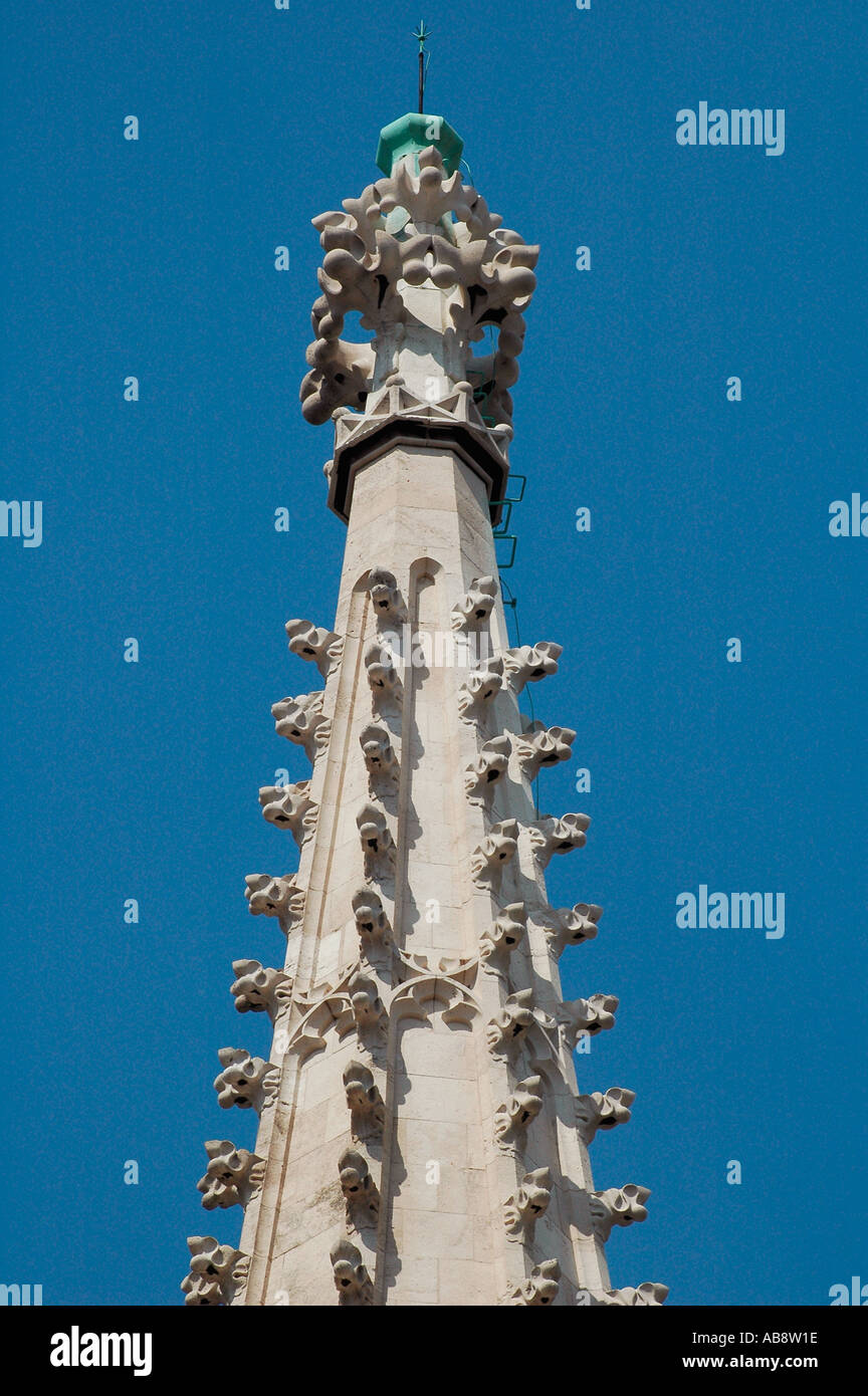 Doccioni decorare la guglia della cattolica romana o Mattia matyas chiesa costruita nel florido stile tardo gotico nel castello di Buda district budapest Foto Stock