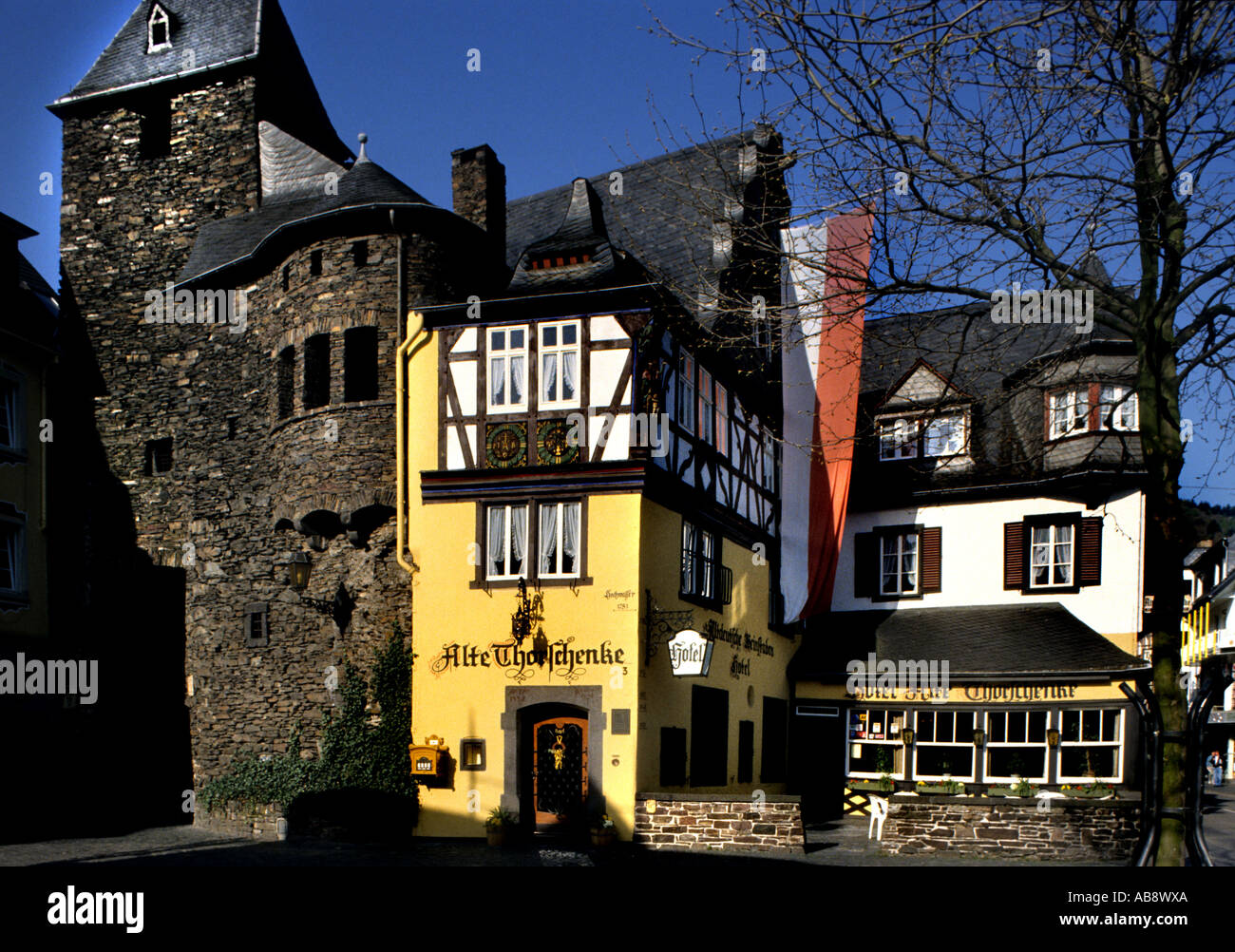 Sul fiume Mosella Cochem Rheinland Pfalz Germania vino tedesco Foto Stock