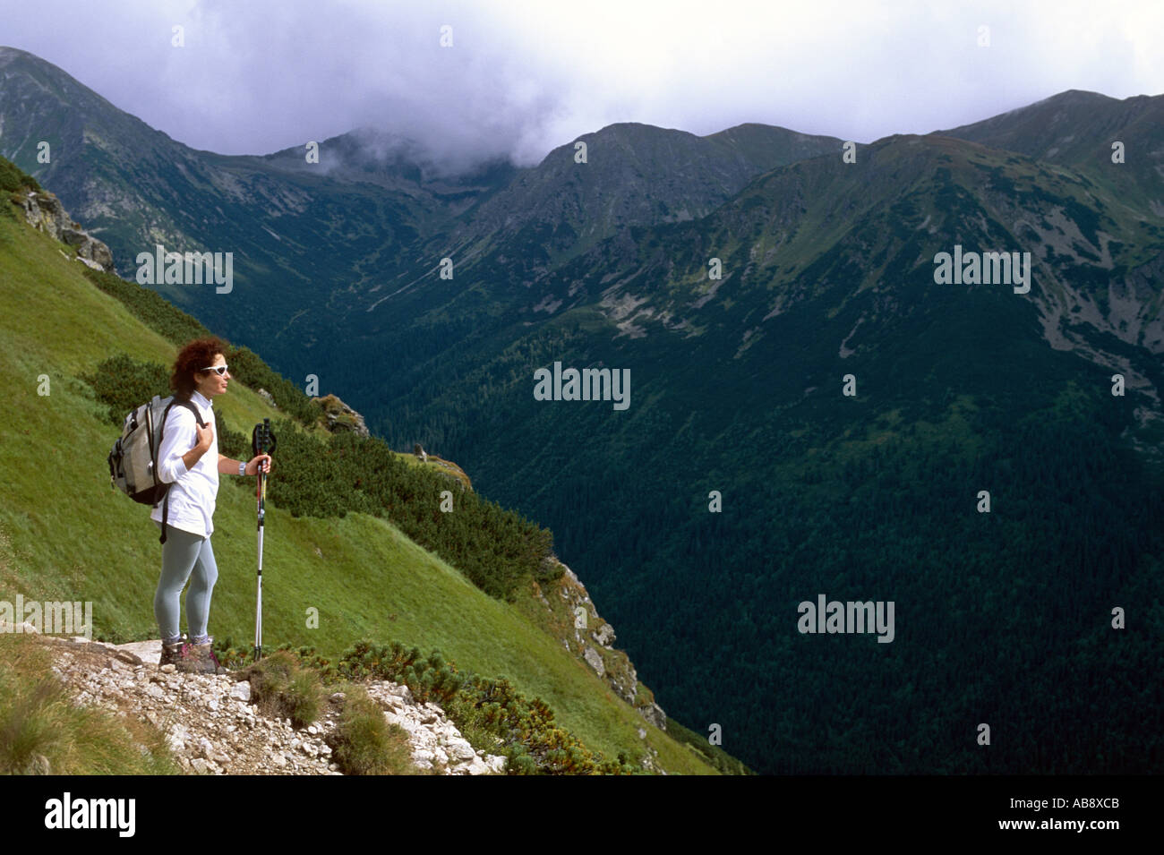 Giovane Montagna wanderer, guardando nel canyon boscoso, Polonia, NP Monti Tatra. Foto Stock