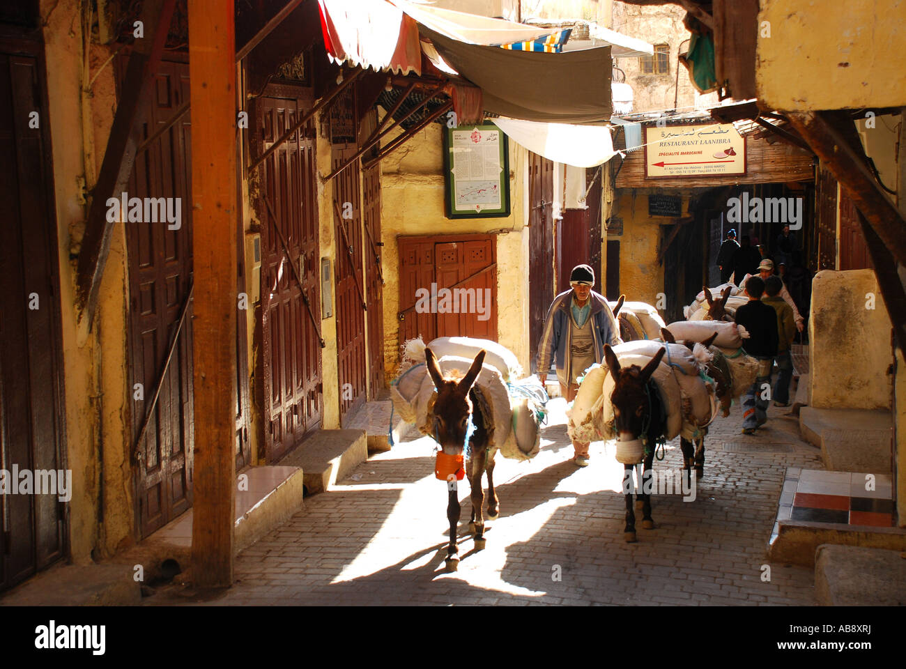Poco asini nella Medina di Fez, Marocco Foto Stock
