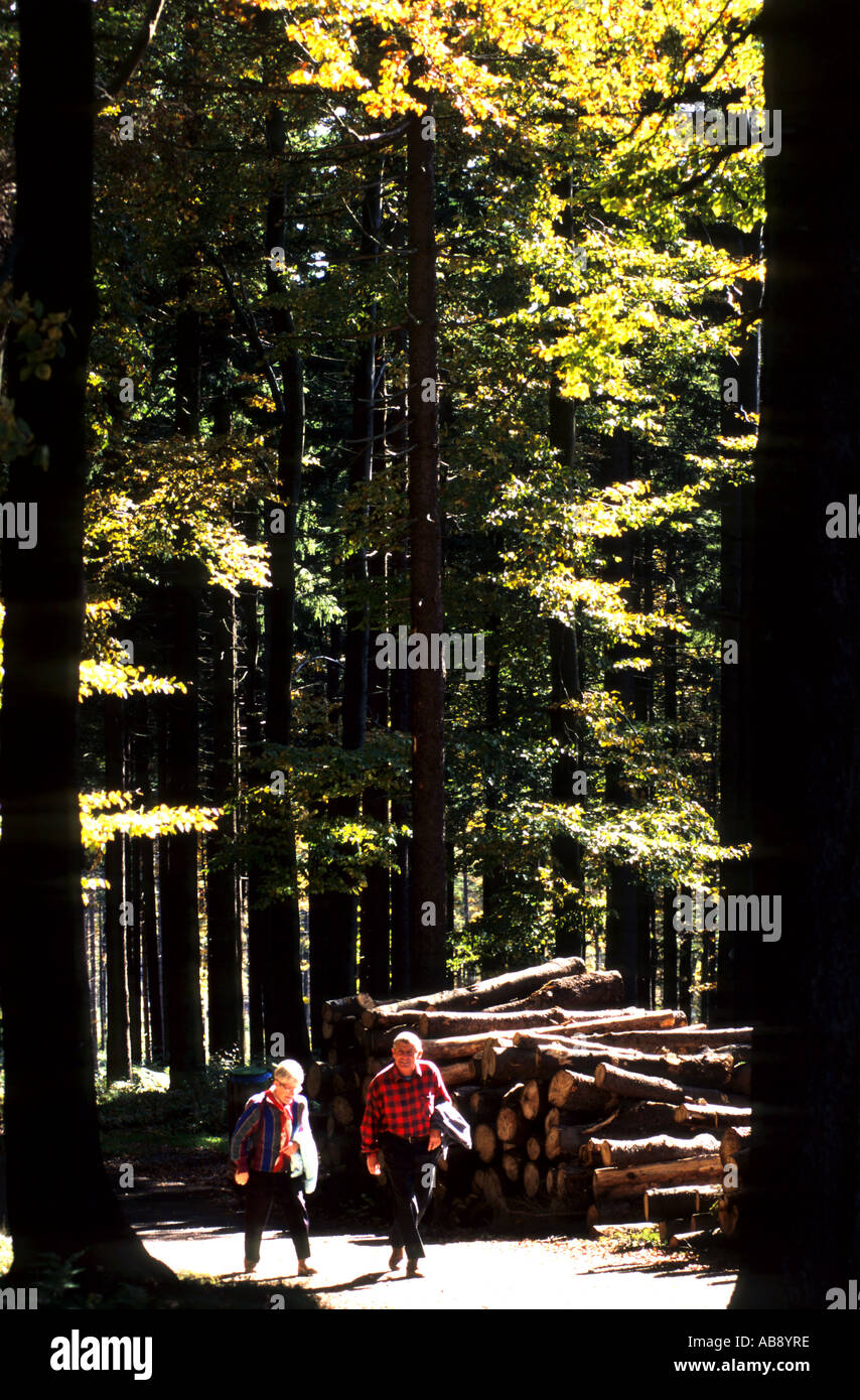 Germania Turingia, in Turingia, Wald alberi da legno Walker persone relazioni familiari parenti Uomo Donna Boy Foto Stock