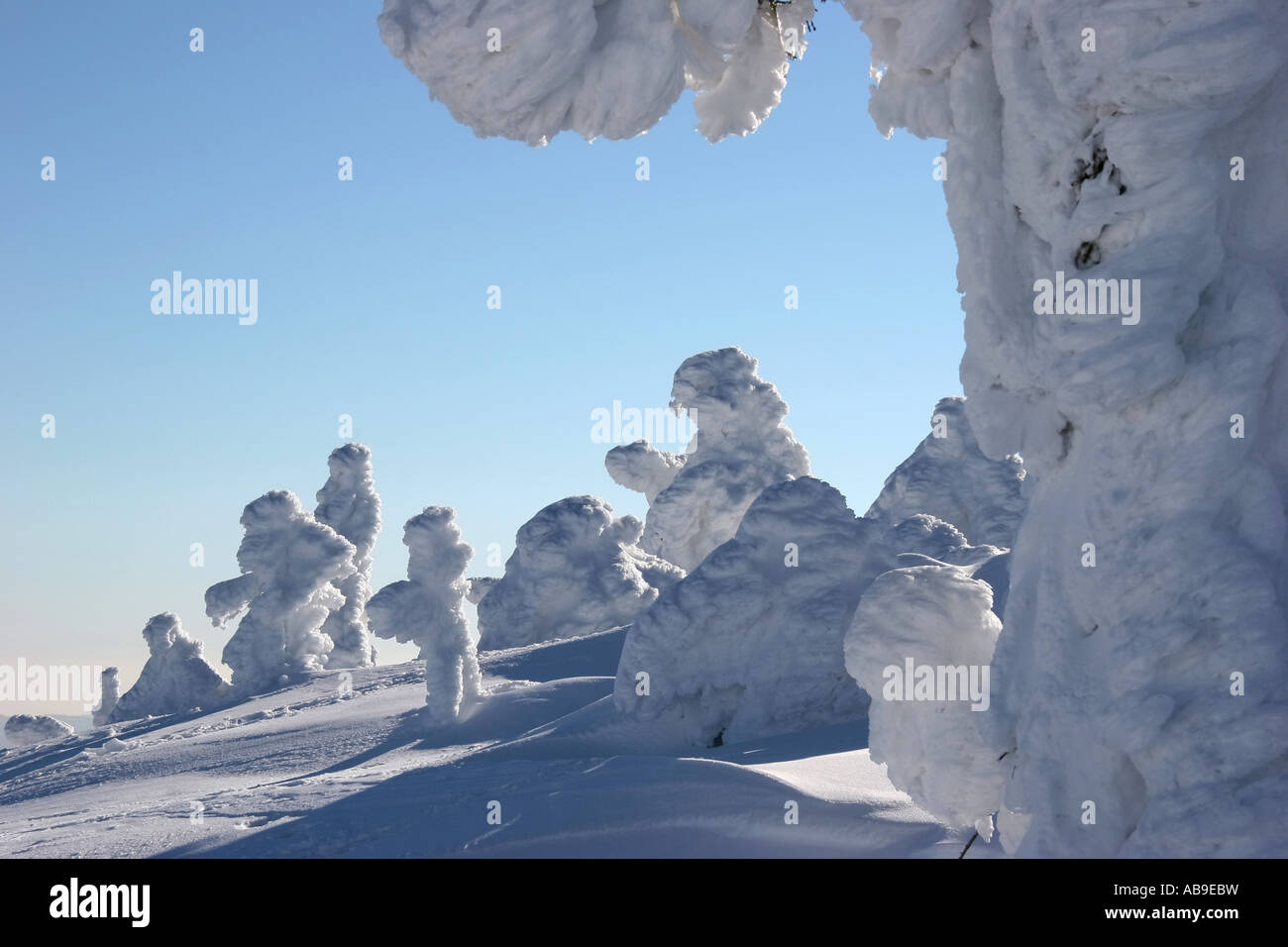 Sculture di neve sul Brocken, Germania, Sassonia-Anhalt, Harz Foto Stock