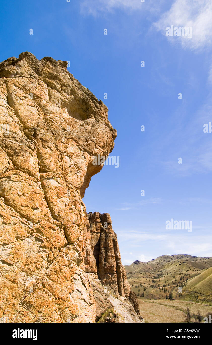 Animali come figura rock formazione presso l'unità Clarno di John Day Fossil Beds National Monument Oregon Foto Stock