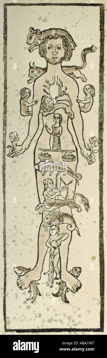 medicina, trattamento, salasso, venezione e zodiaco, legno colorato, calendario, circa 1500, Foto Stock