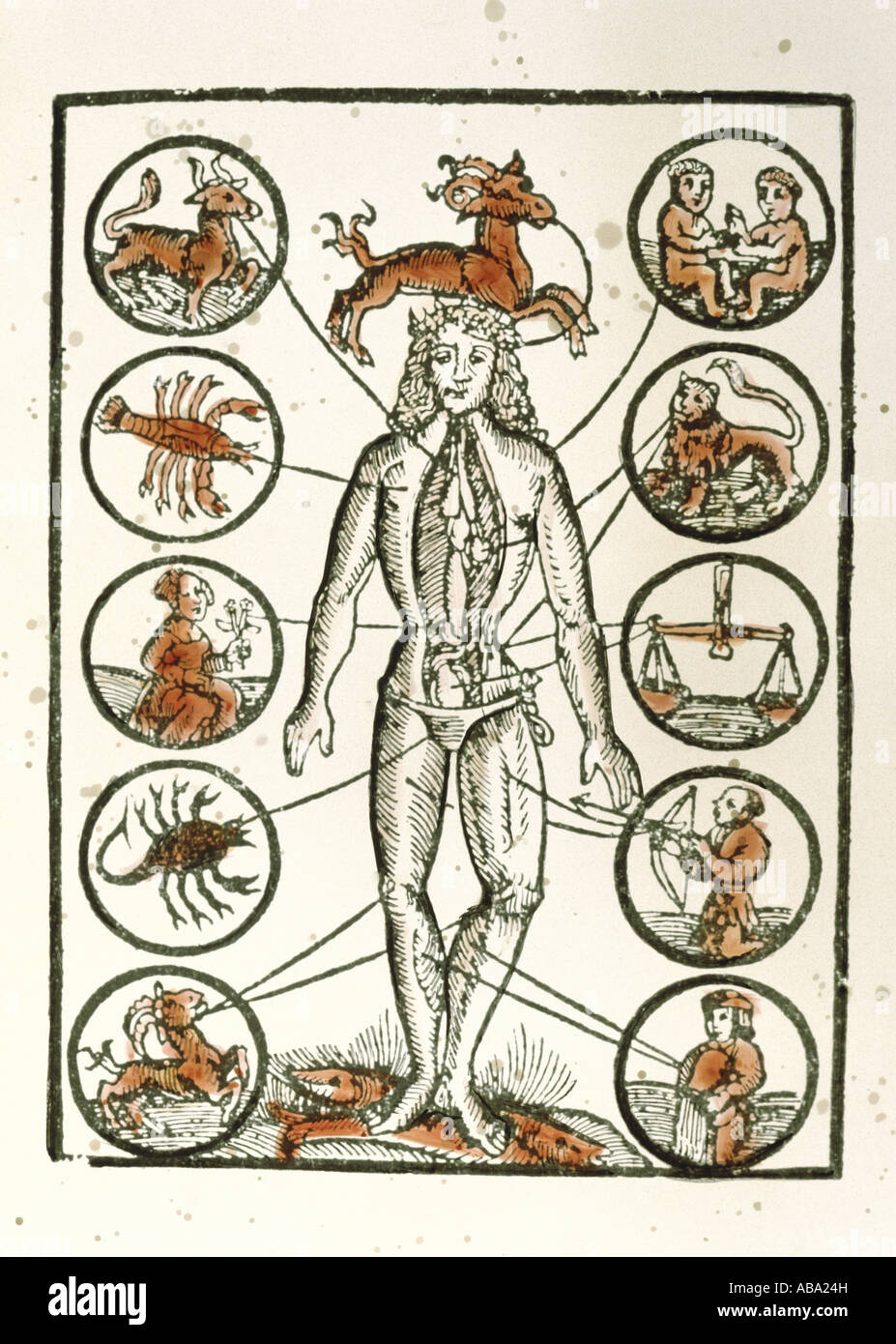 Medicina, trattamento, salasso, venezione e zodiaco, legno colorato, « Deutscher Kalender » di Regiomontanus, Norimberga, 1514, collezione privata, Foto Stock