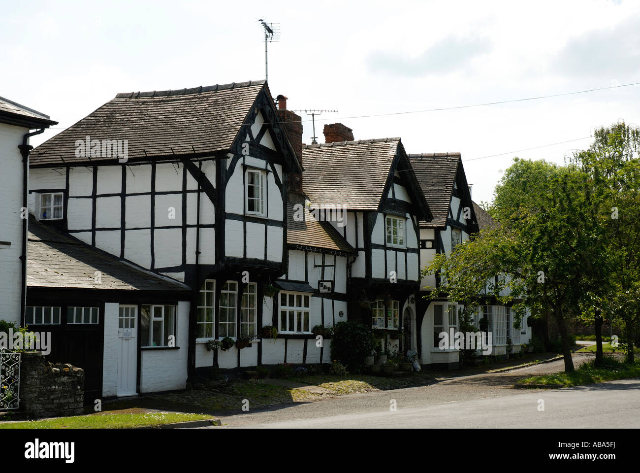 Weobley, Herefordshire, uno dei più belli della 'Bianco e Nero' villaggi. Foto Stock