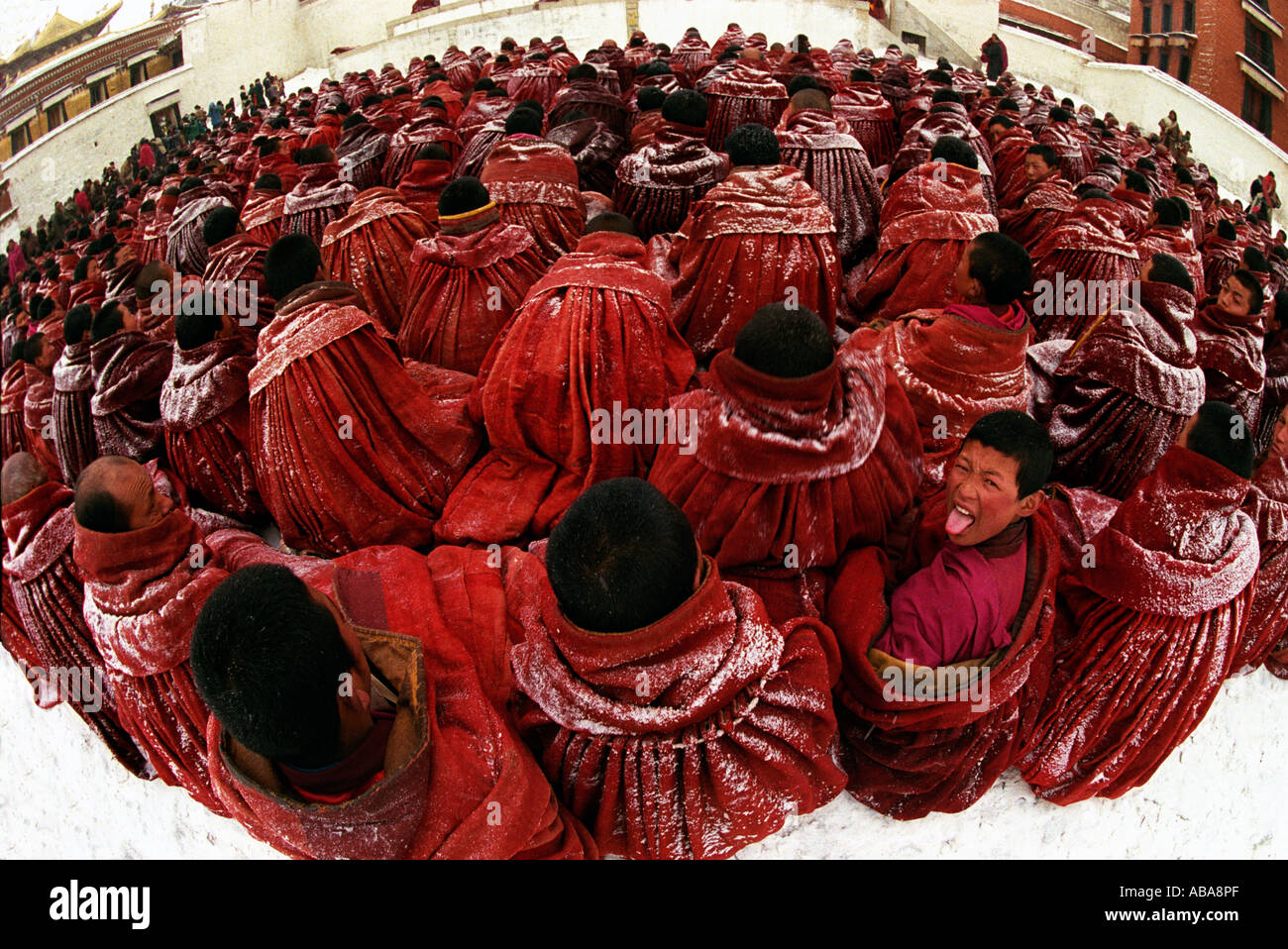 Un gruppo di monaci tibetani usura frocks rosso, uno è colpito il suo con la lingua fuori Foto Stock