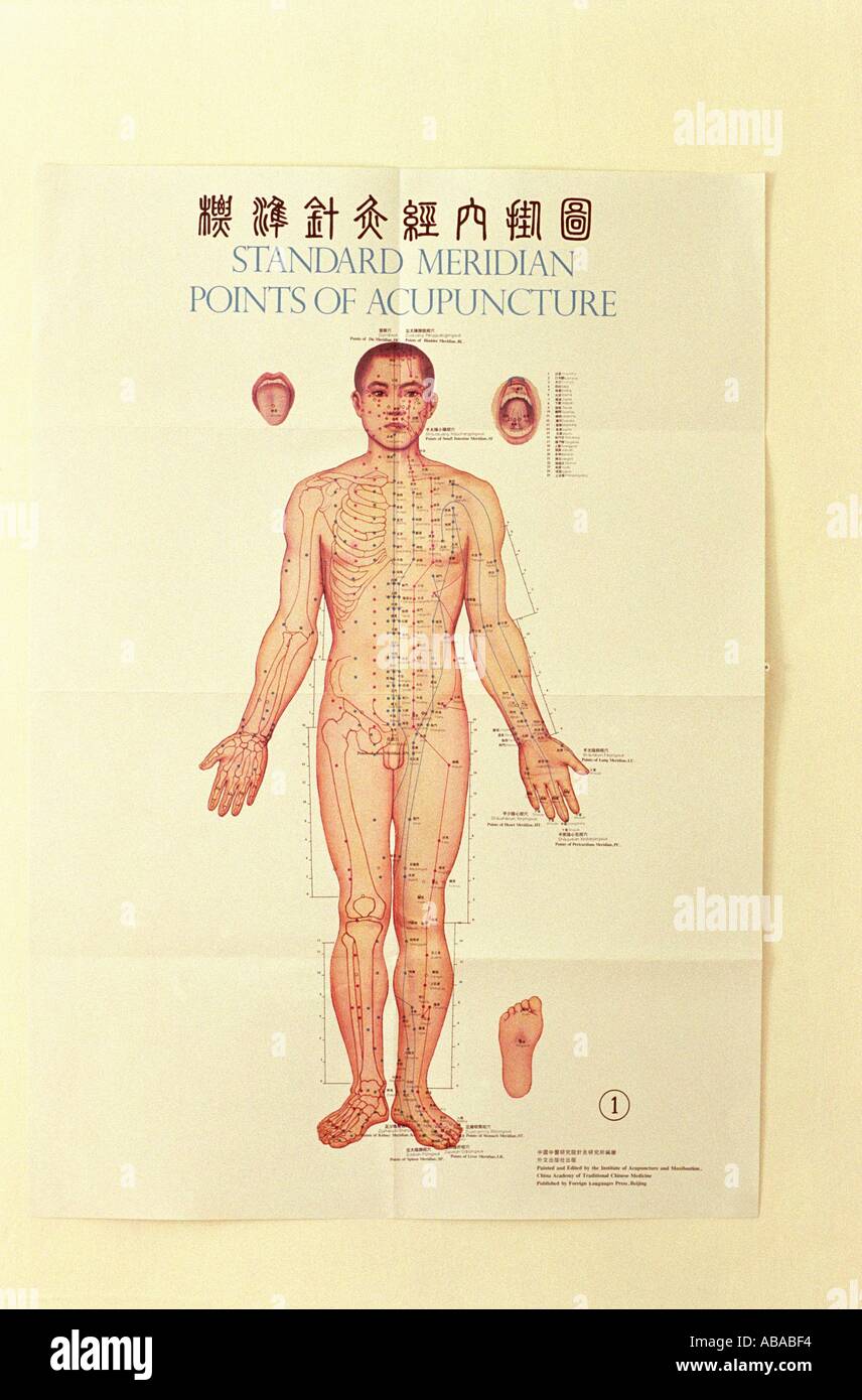 Modello Medico Di Agopuntura Dei Piedi Umani Sul Blu Immagine Stock