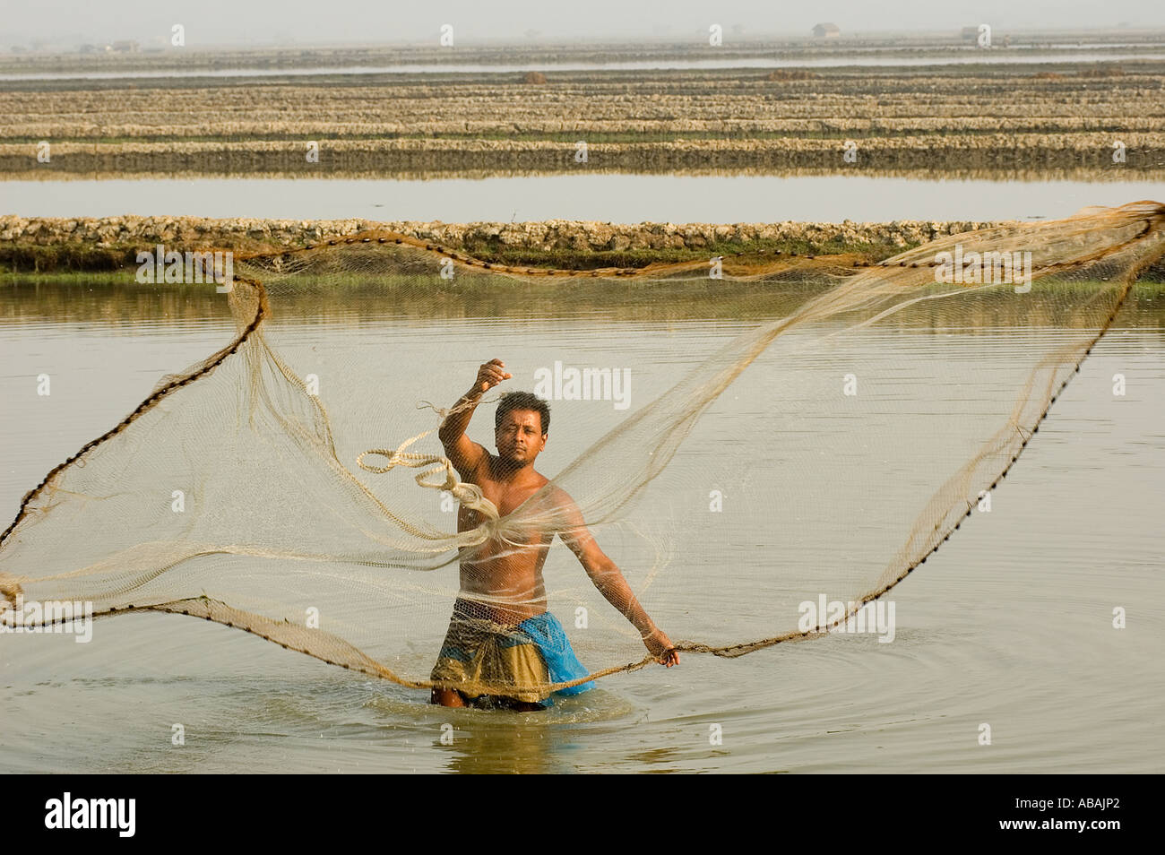 Allevatore di gamberi la cattura di gamberetti in un stagno di gamberetti da buttare net , Shibsha Fiume Bangladesh . Foto Stock