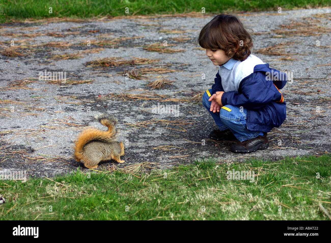 essere in contatto Foto Stock
