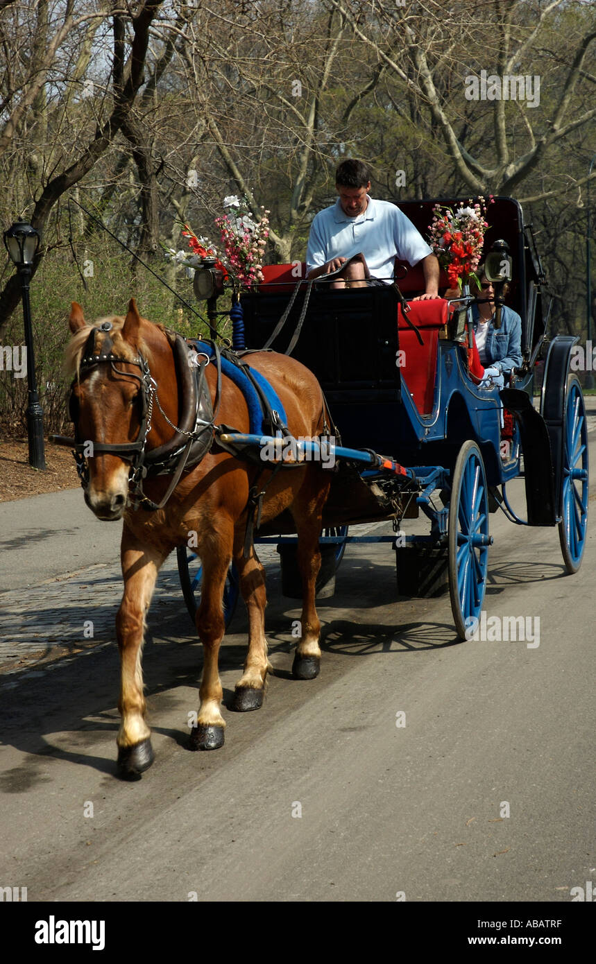 New York, Central Park Foto Stock
