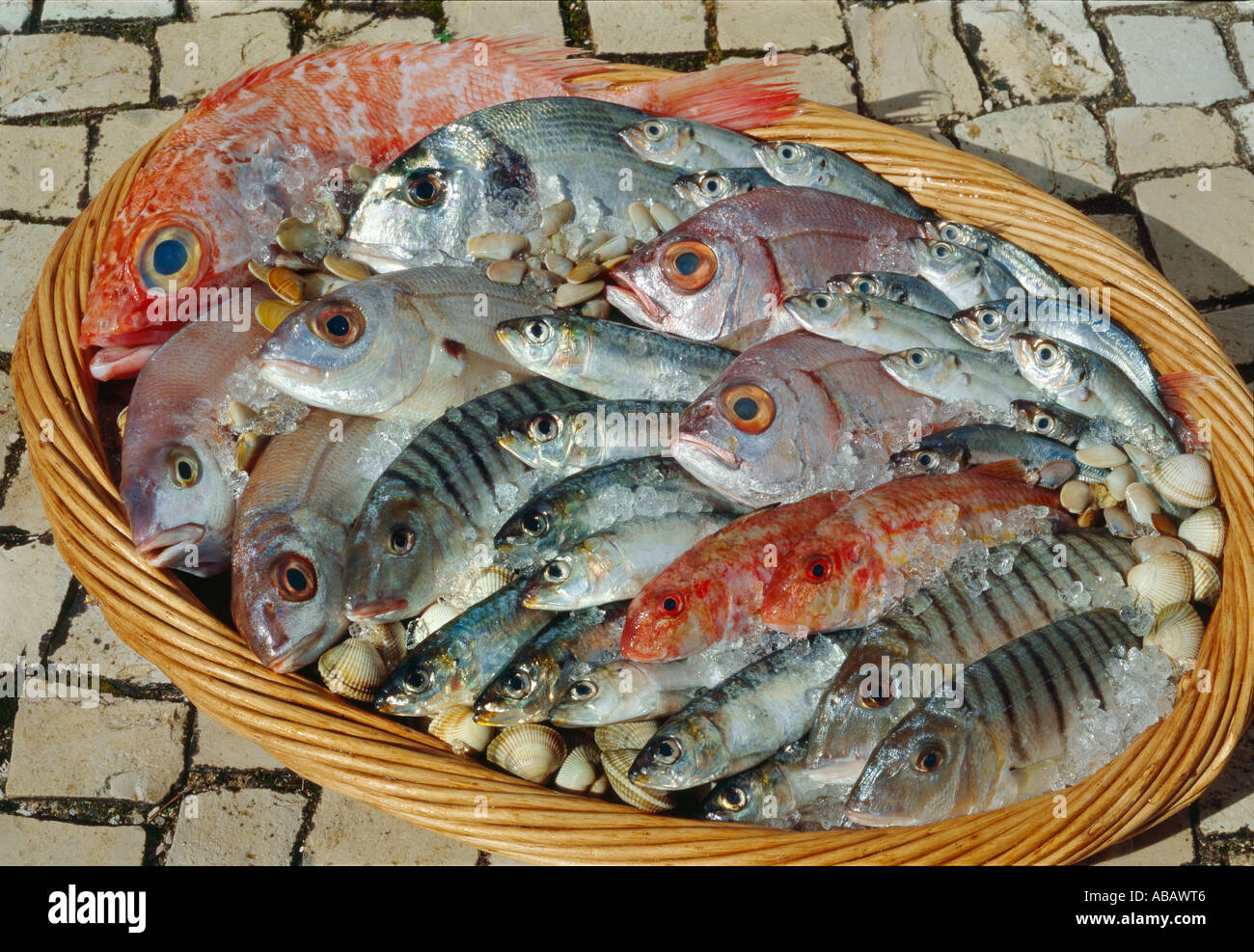 Cesto di pesce immagini e fotografie stock ad alta risoluzione - Alamy