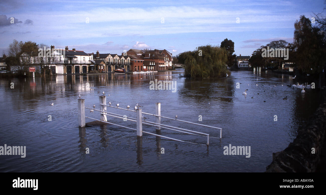 Il fiume Tamigi nel diluvio a Windsor Foto Stock