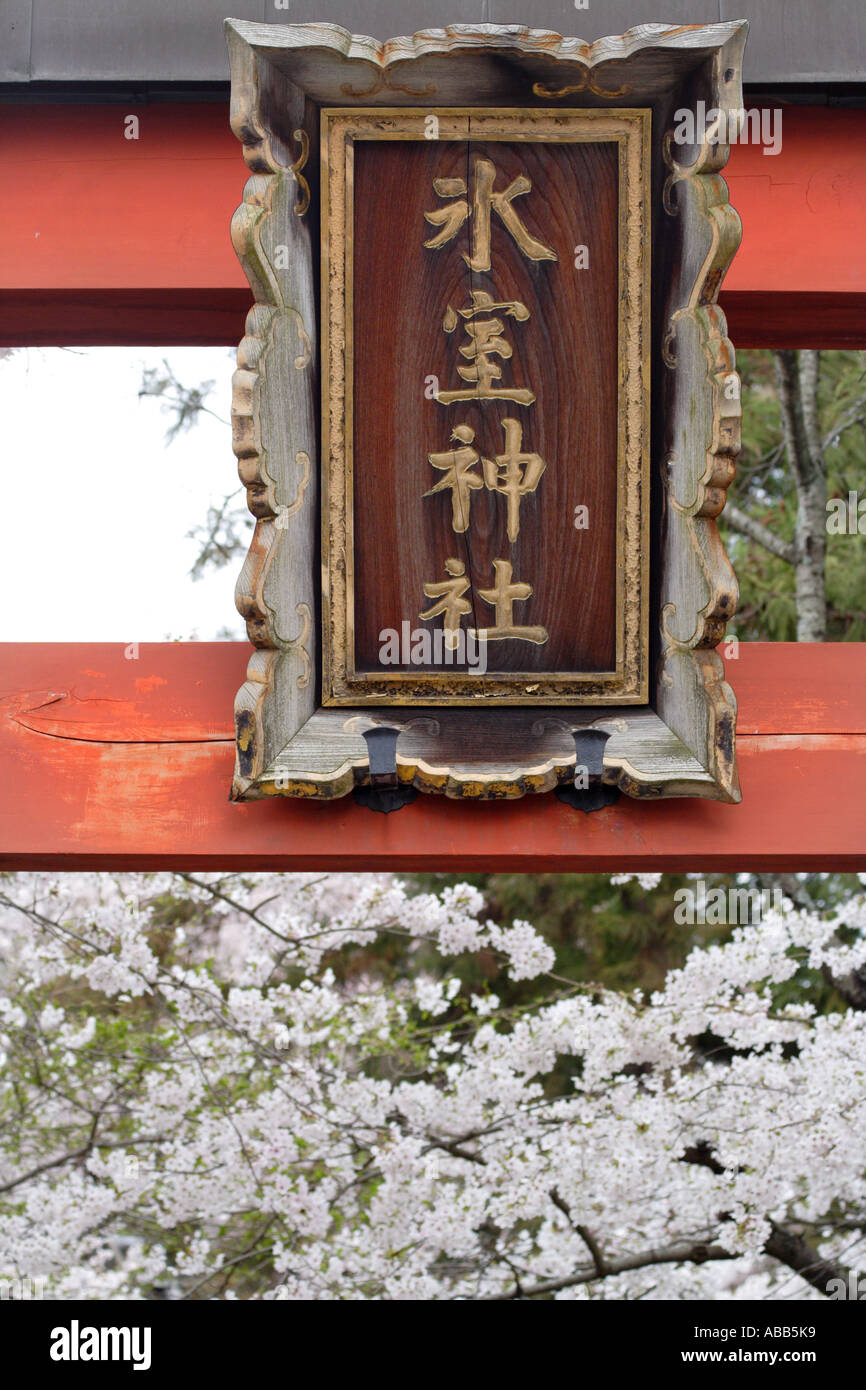 Segno davanti al Tempio Todaiji complesso durante la fioritura dei ciliegi stagione, Nara, Giappone Foto Stock