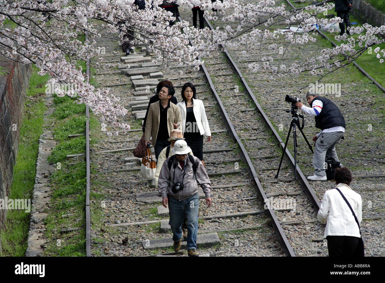 Keage Incline, Railroad Track Turned Hiking Trail, Kyoto, Japan During Cherry Blossom Season Foto Stock