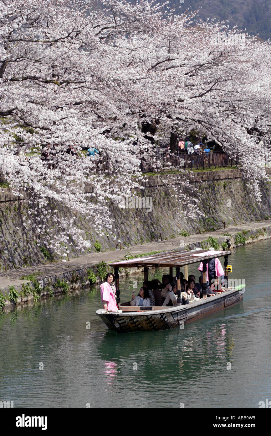 Kyoto Japan, Tourist Boat full of Tourists Enjoying the Cherry Blossoms Foto Stock