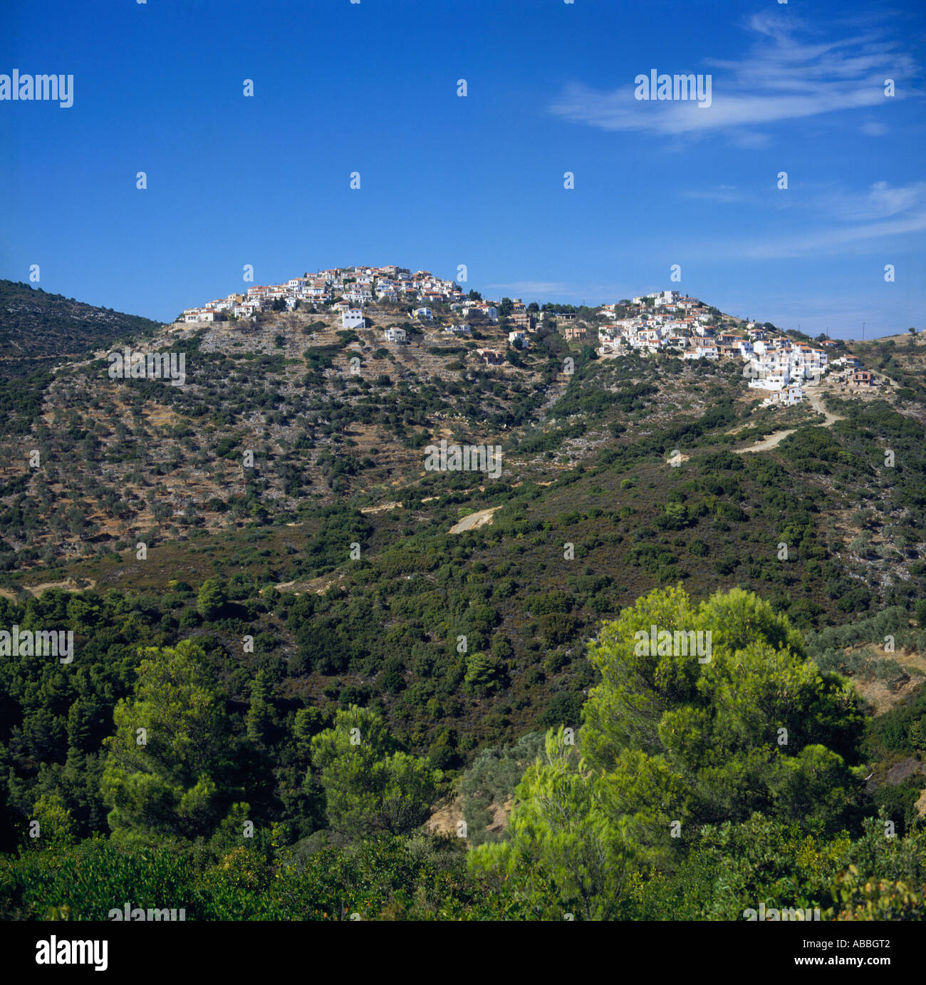 Piccola città clustered sulla cima di una collina cosparsa di uliveti ad Alonissos Isola Sporadi settentrionali le isole greche - Grecia Foto Stock