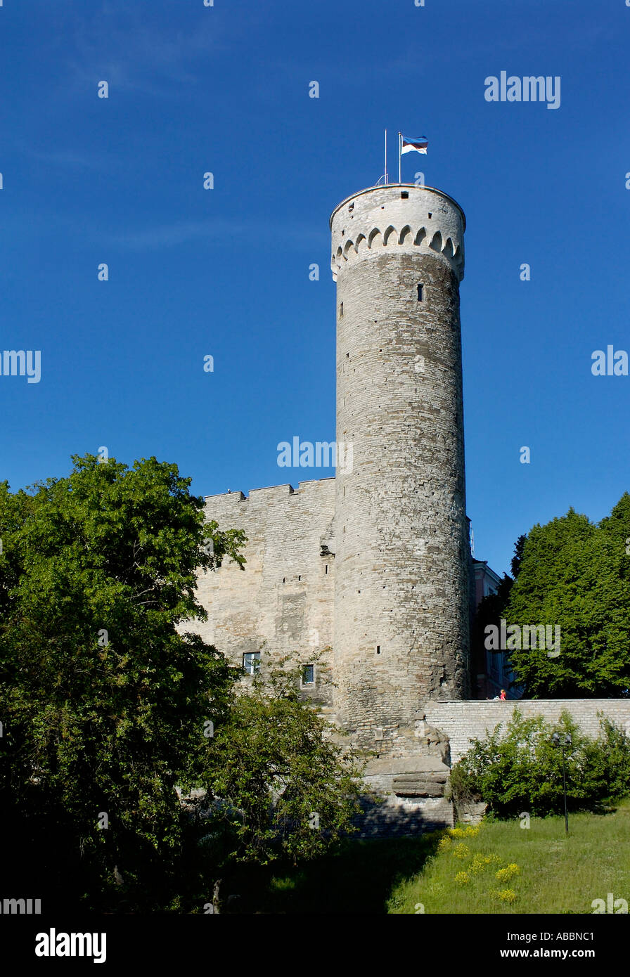 Lungo la torre Herman a Tallinn Estonia Foto Stock