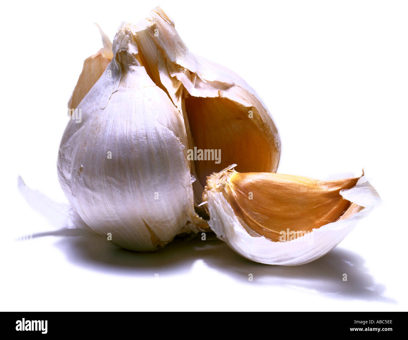 Aglio 1 Foto Stock
