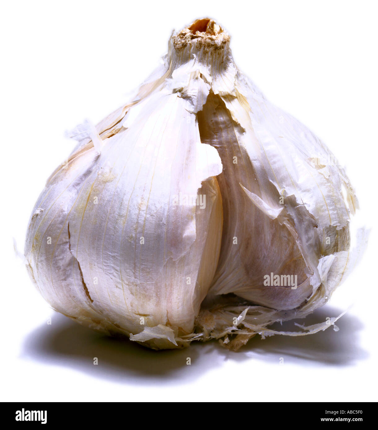 Aglio 2 Foto Stock