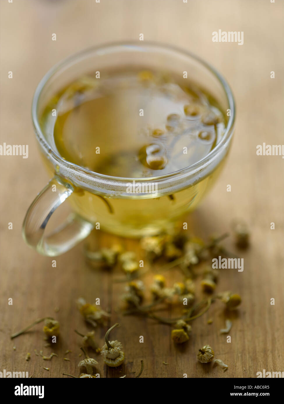 La camomilla tè alle erbe - fascia alta Hasselblad 61mb di immagine digitale Foto Stock