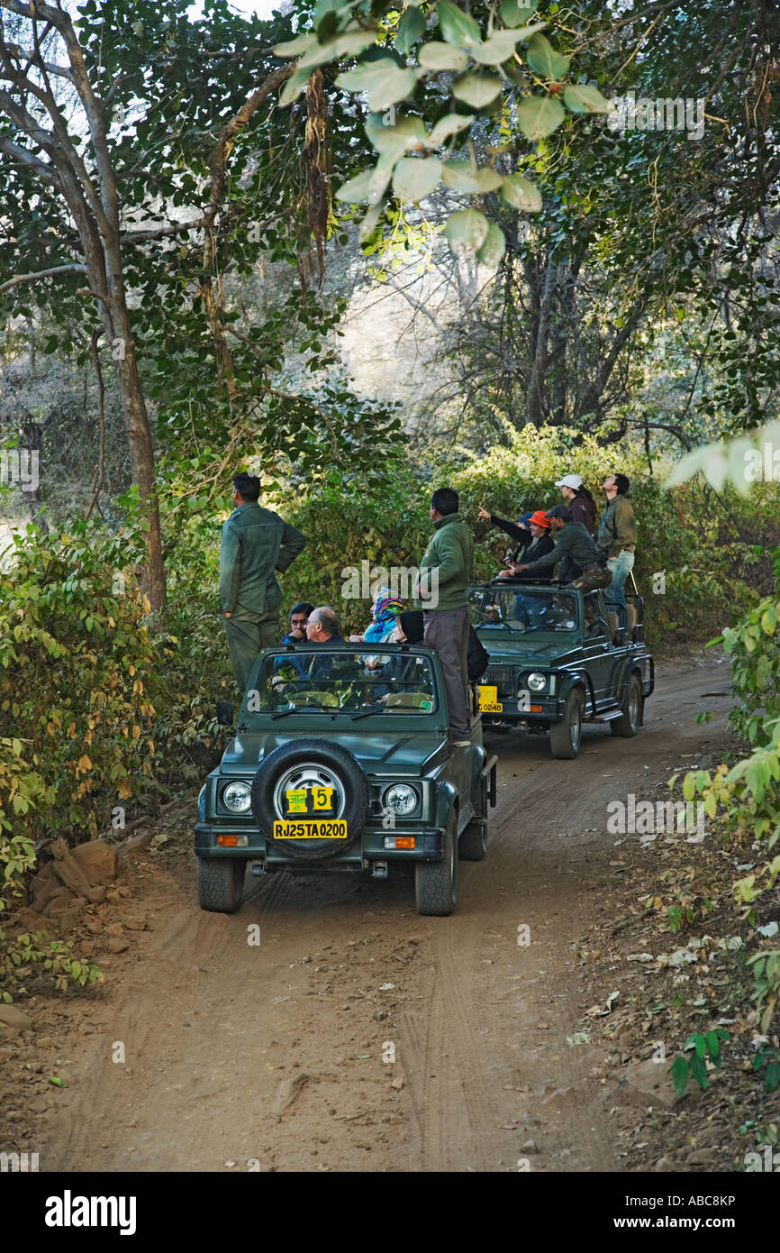 La visione di gioco in Ranthambhore Parco Nazionale di India Foto Stock