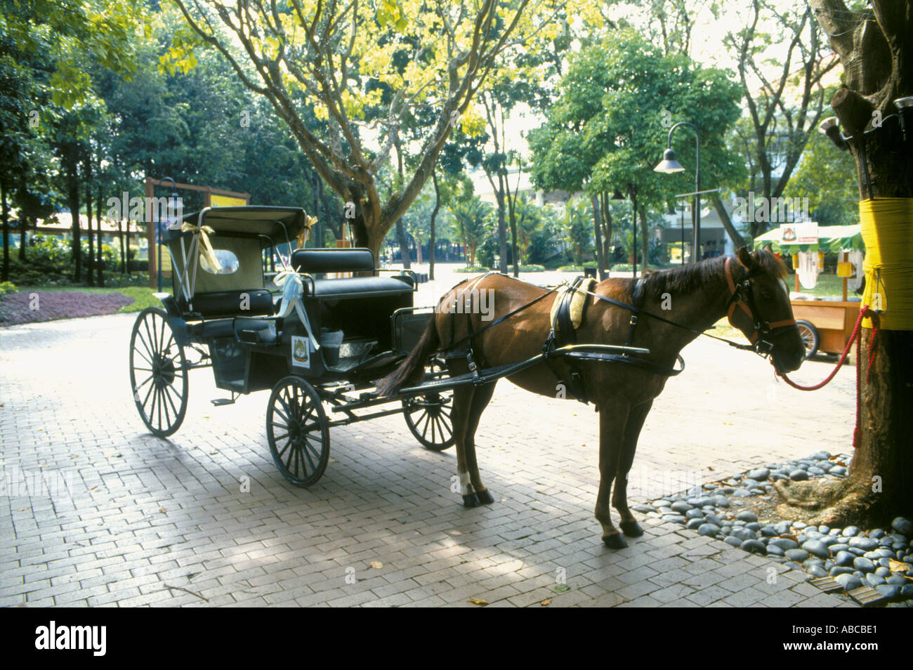 Una carrozza con l'Isola di Sentosa in Singapore Foto Stock