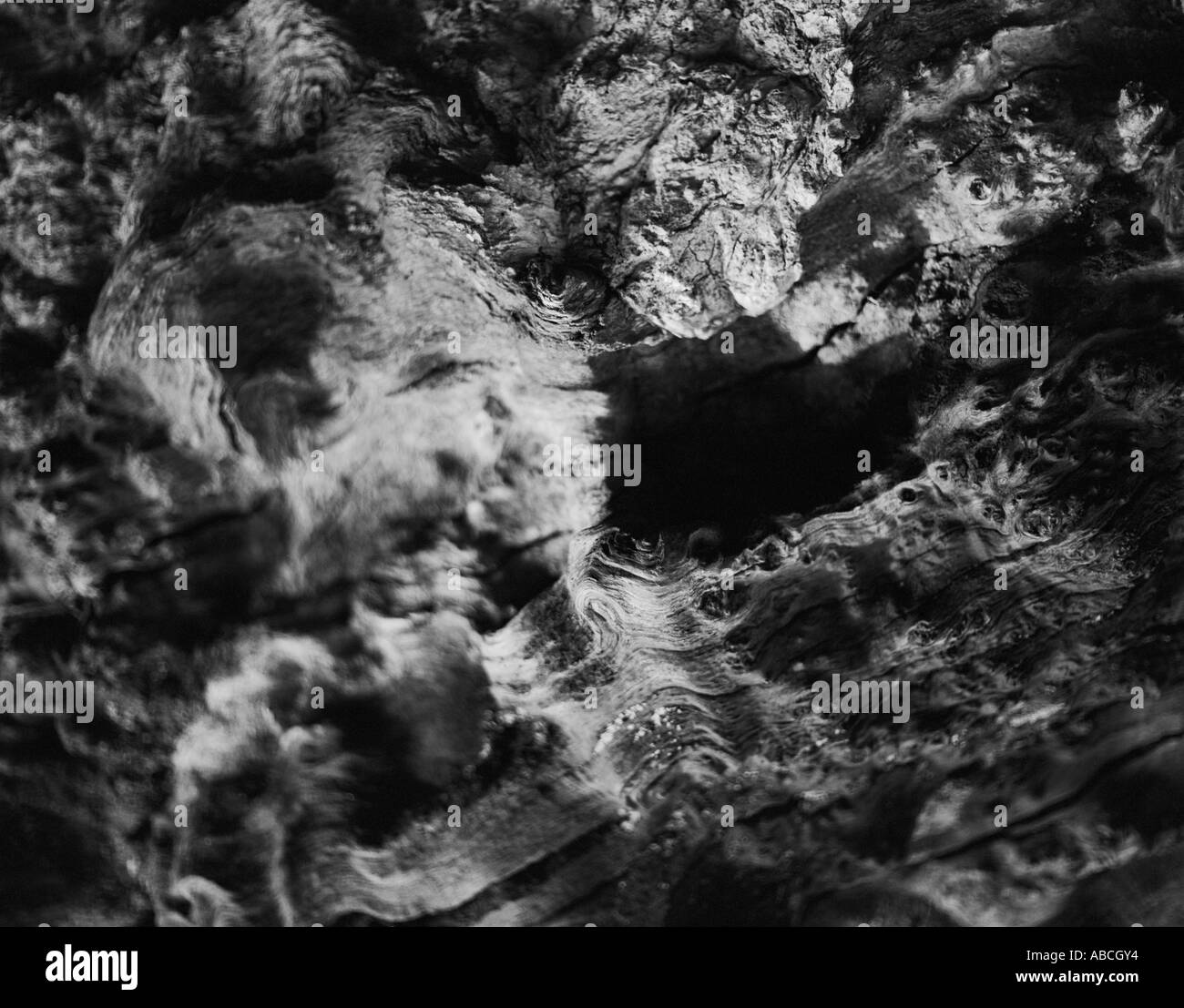 Configurazione astratta di un albero morto nel New Forest Hampshire REGNO UNITO Foto Stock