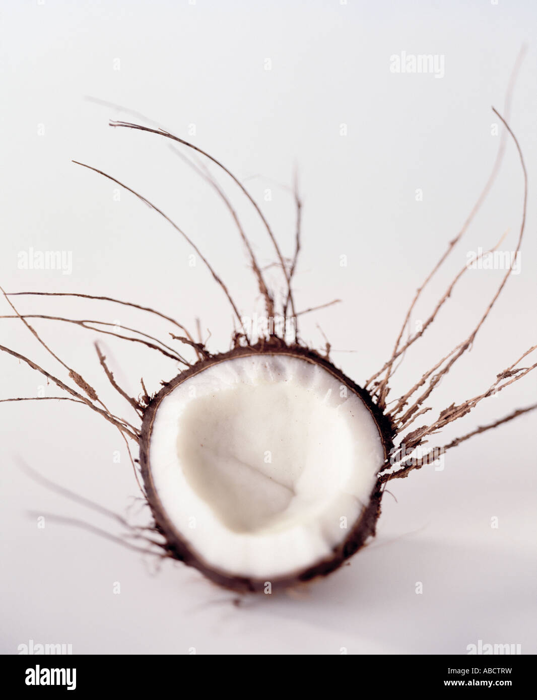 Il Cocco dimezzato contro uno sfondo bianco Foto Stock
