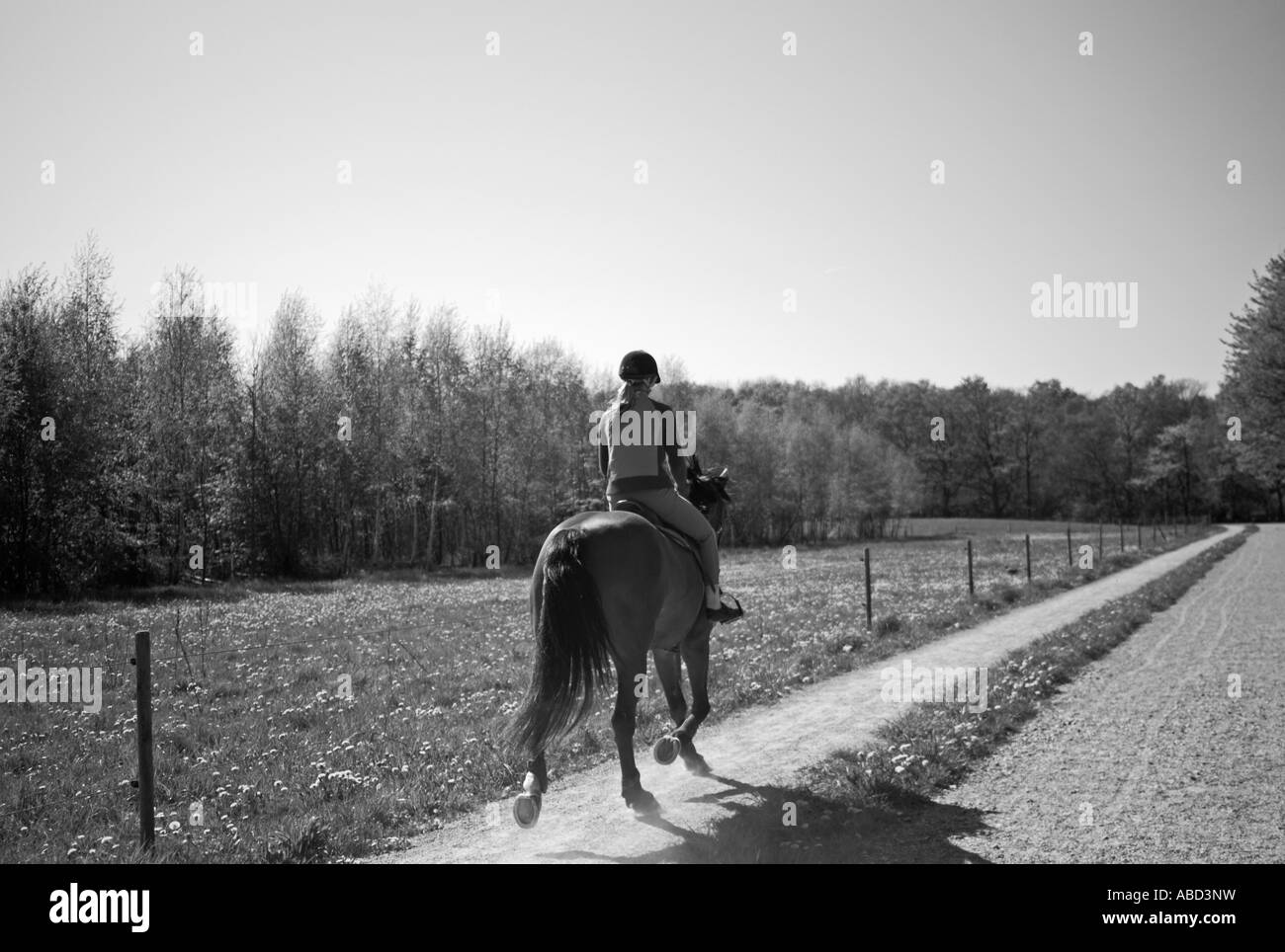 Una ragazza in sella ad un cavallo Foto Stock