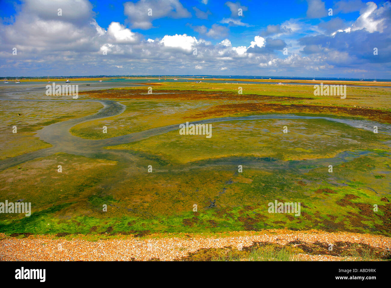 Keyhaven paludi, Hurst punto, Hurst Castello, il Solent, Hampshire Inghilterra Gran Bretagna REGNO UNITO Foto Stock