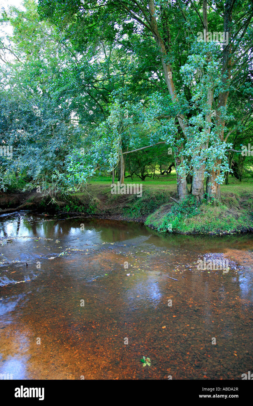 Lymington river, Brockenhurst, Hampshire Inghilterra Gran Bretagna REGNO UNITO Foto Stock